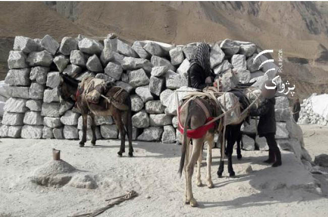 Many Bonded Child Laborers  Work in Takhar Salt Mine
